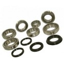 Kit Rolamentos + Vedantes IRD Freelander