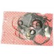 Kit Juntas Motores 200 Tdi 