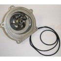 BOMBA AGUA FREELANDER TCIE
